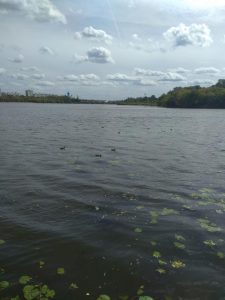 Модявино испокон веков стоит на берегу Волги, фото 5 из 9