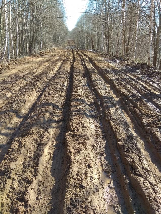 Красоты Волги