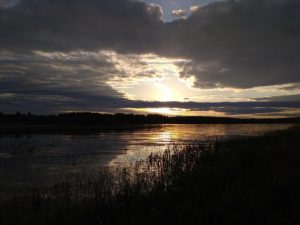 Красоты Волги, фото 4 из 6