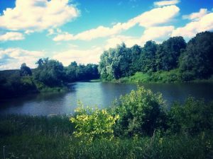 Моя Деревня, фото 5 из 11