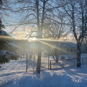 Новый 2019 год в замечательной деревне!!, фото 2 из 3