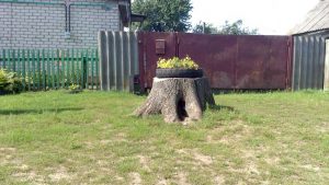 Одно из старейших сёл Брянщины, фото 5 из 12