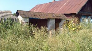 Одно из старейших сёл Брянщины, фото 6 из 12