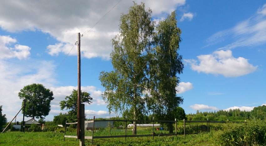 Лямзино, июнь 2018г.