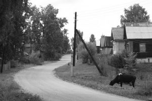 Деревня Желниха, фото 8 из 9