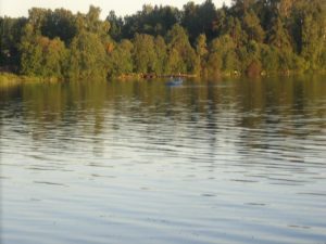 Деревня Желниха, фото 4 из 9