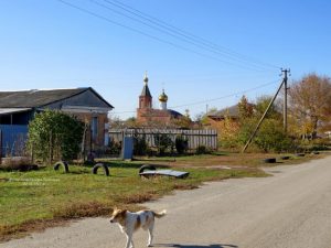 Карнауховский, фото 9 из 22
