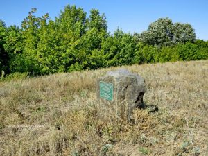 хутор Арбузов, фото 22 из 25