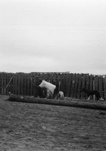 Келлог, июль 1975, фото 6 из 14