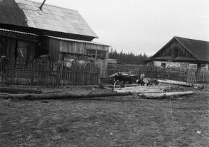 Келлог, июль 1975, фото 5 из 14