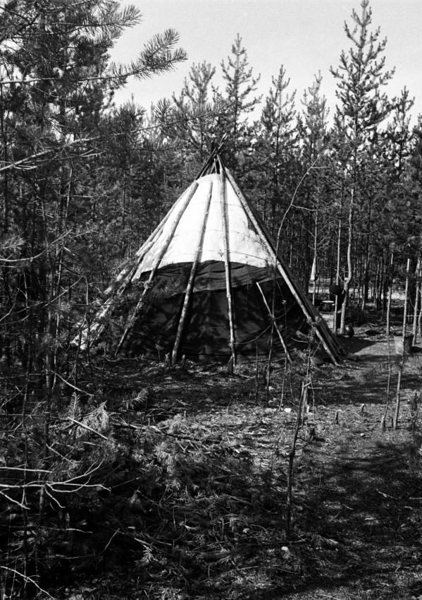 Келлог, июль 1975