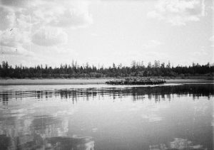 Келлог, июль 1975, фото 13 из 14
