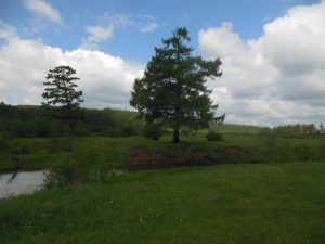 Быкова, фото 2 из 4