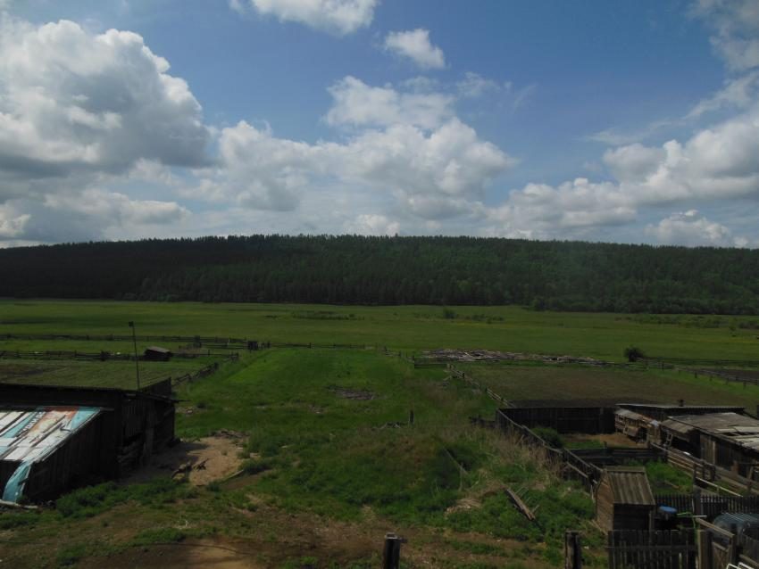 Быкова