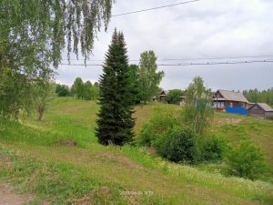 Нет хозяина, фото 2 из 4