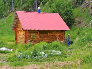 деревня  Верхний Бемыж, фото 7 из 17