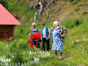 деревня  Верхний Бемыж, фото 15 из 17