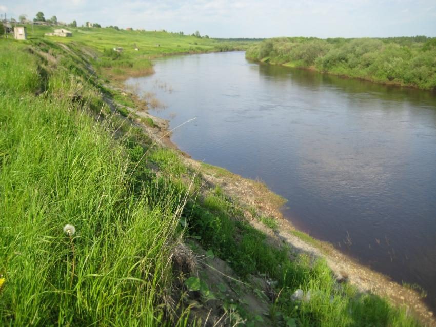 Лойно