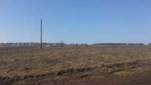 Нет дороги -нет асфальта. ., фото 2 из 4