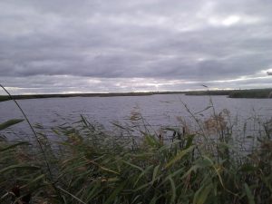 Озеро, фото 2 из 4