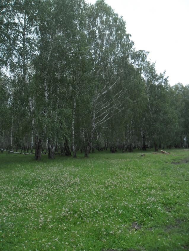 Родной край