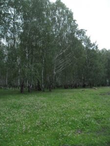 Родной край, фото 1 из 6