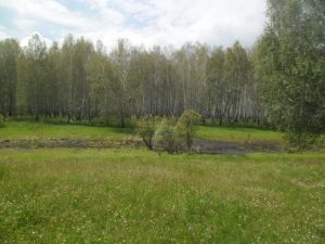 Родной край, фото 5 из 6